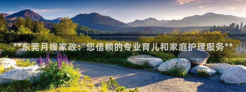 杏悦官方平台官网入口
