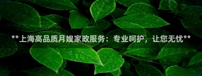 杏悦官方平台官网首页