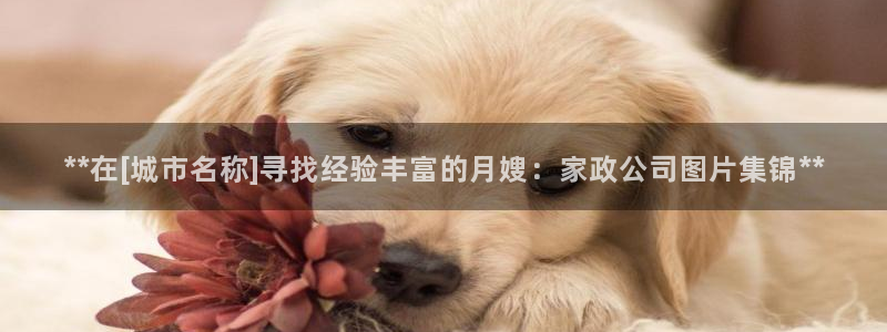 杏悦官网