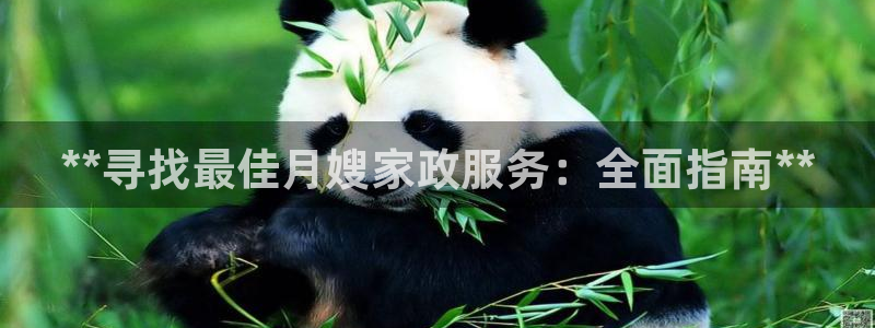 杏悦招商地址