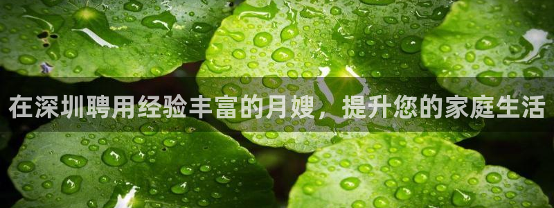 杏悦官方平台官网下载