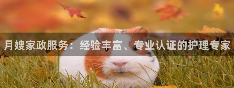 杏悦平台招商电话号码