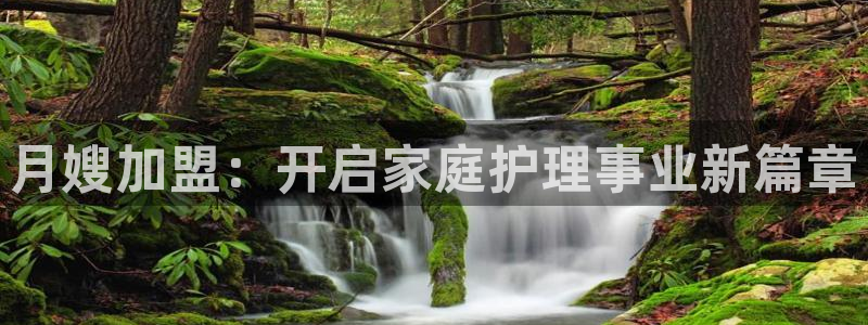 杏悦平台代理怎么赚钱快