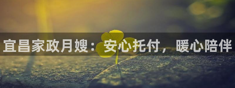 杏悦官方平台官网首页