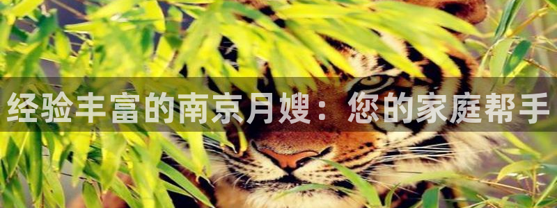 杏悦t首选推荐平台