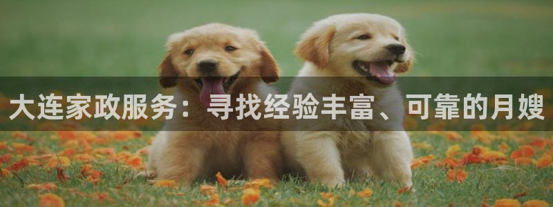 杏悦官网注册信息是什么