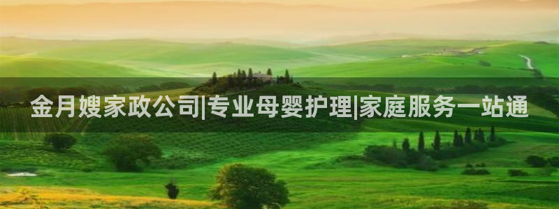 杏悦官方平台官网入口
