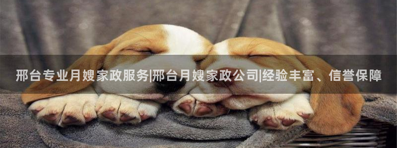 杏悦平台如何