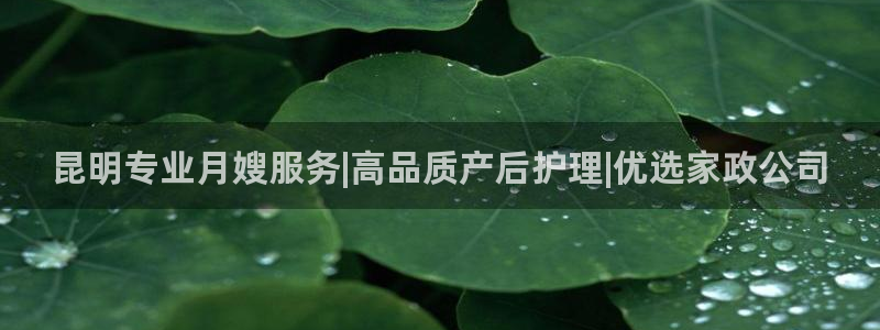 杏悦平台代理怎么样啊