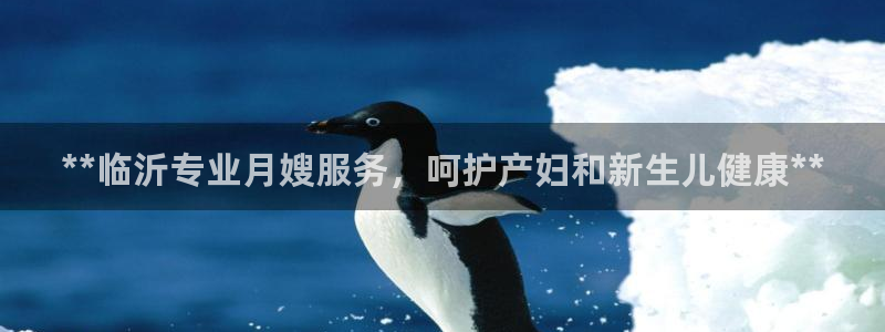 杏悦平台开户地址怎么改