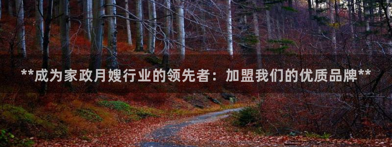 杏悦平台代理怎么赚钱