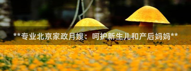 杏悦注册官网
