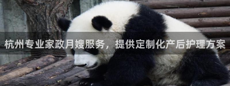 杏悦平台代理注册要钱吗