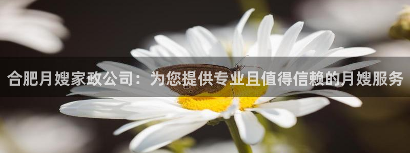 杏悦平台注册地址在哪里