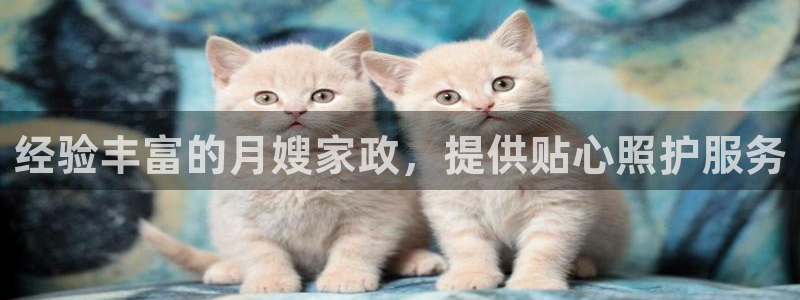 杏悦平台登录地址在哪里