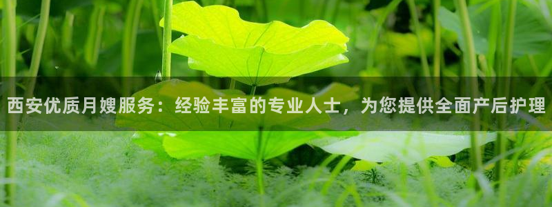 杏悦平台登录地址