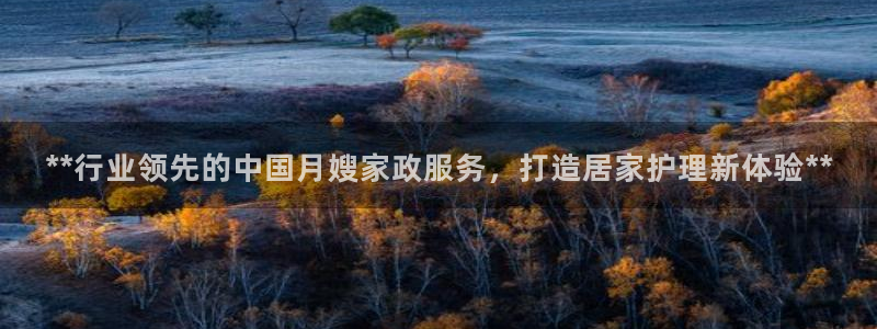 杏悦官方平台是正品吗