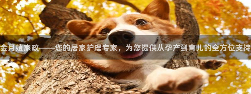 杏悦 -首选推荐平台