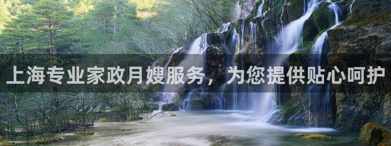 杏悦平台代理