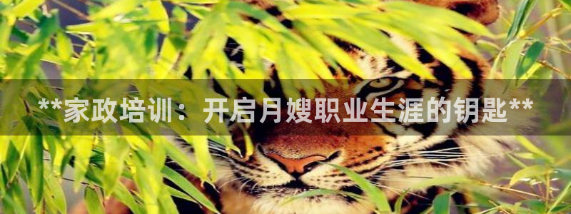 杏悦主管