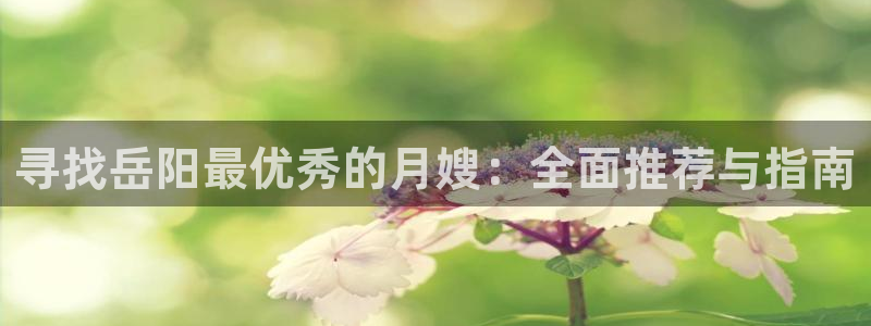杏悦平台如何注册账号