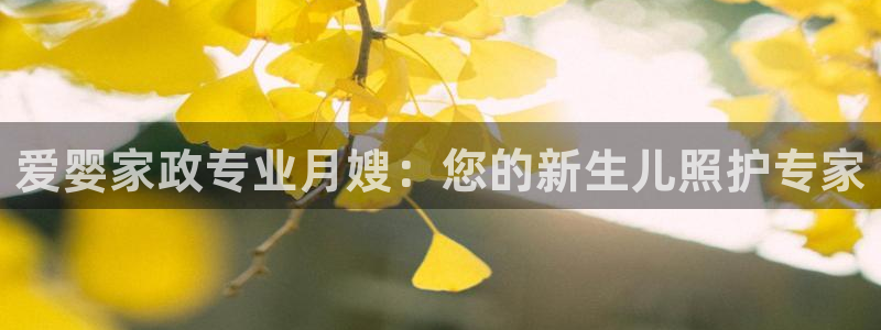 杏悦官方平台官网首页