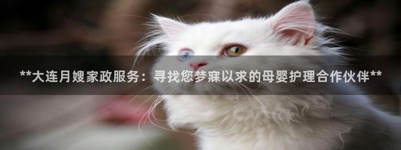 杏悦 -首选推荐平台