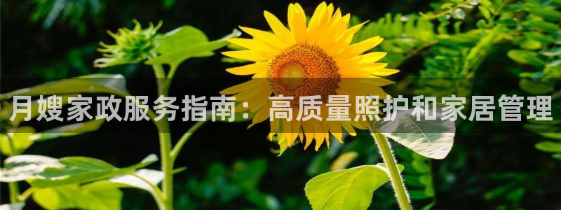 杏悦靠谱吗