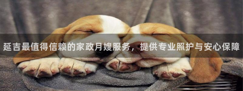 杏悦平台登录入口官网