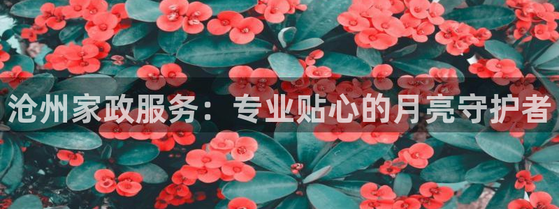 杏悦登入