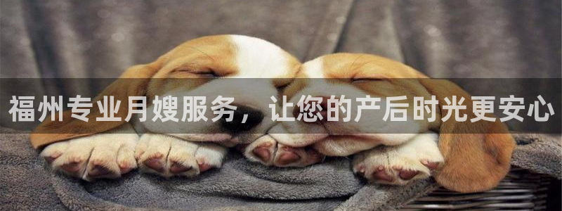 杏悦是什么