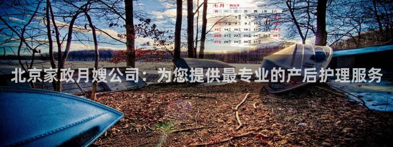 杏悦平台代理怎么赚钱