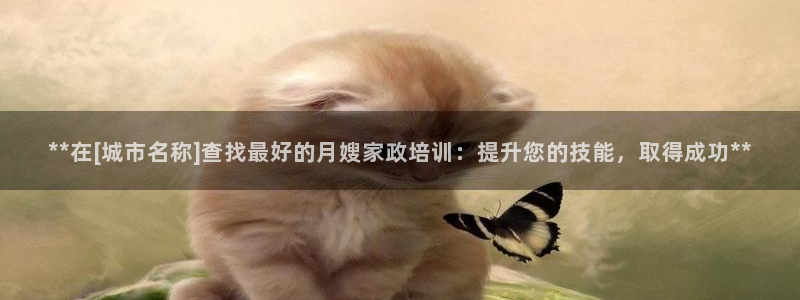 杏悦总代理