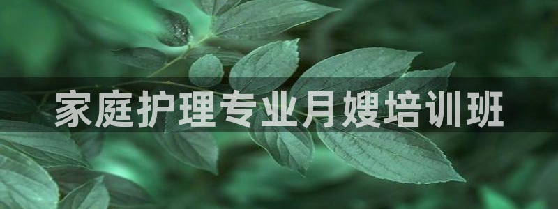 杏悦1登录地址