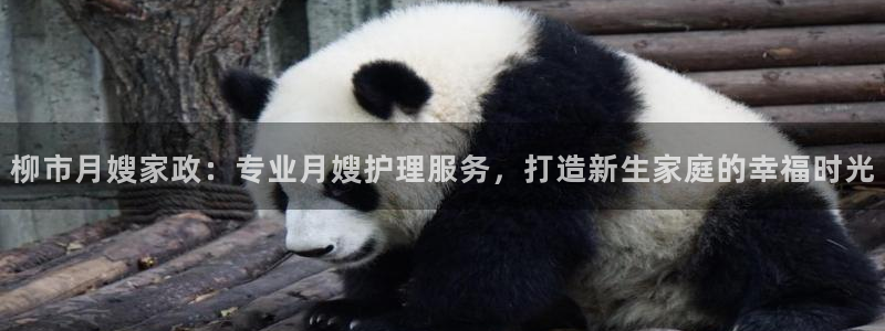 杏悦平台注册流程