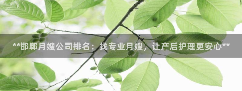 杏悦官网注册信息是什么样的