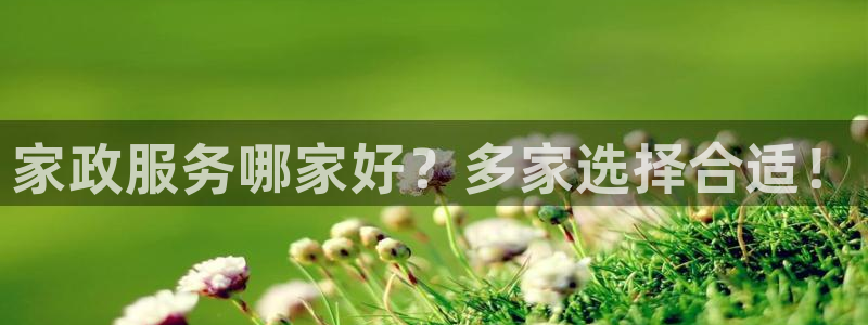 杏悦平台线路测速