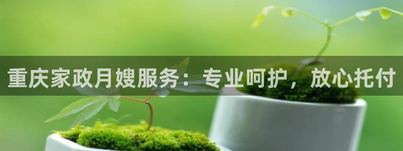 杏悦平台如何