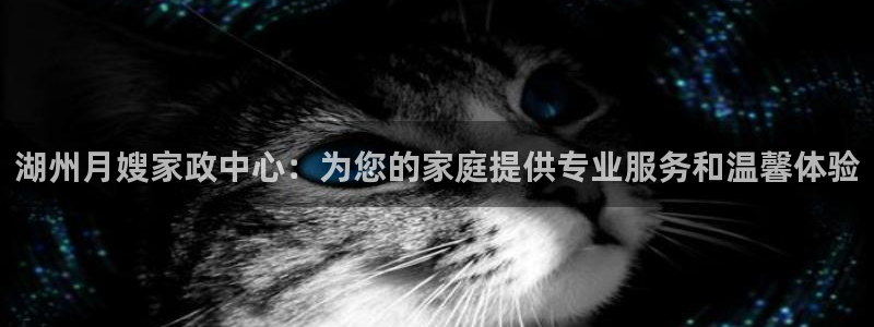 杏悦1招商地址
