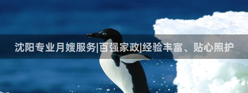 杏悦平台如何