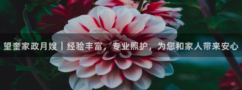 杏悦平台可靠吗是真的吗还是假的