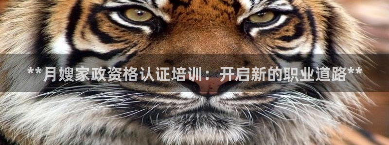 杏悦登入