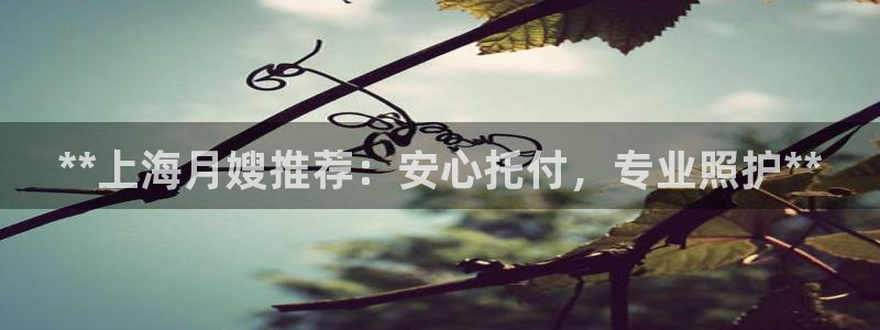 杏悦招商地址
