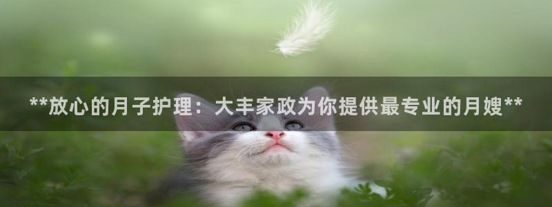 杏悦官方平台官网入口
