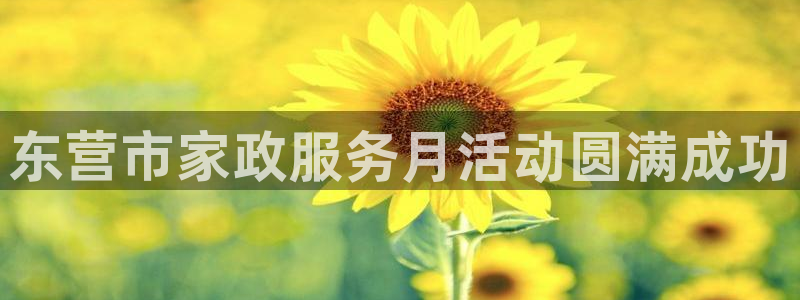 杏悦娱乐平台靠谱吗