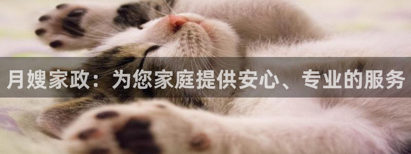 杏悦平台可靠吗是真的吗