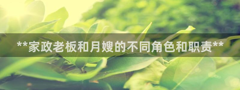 杏悦平台代理怎么样可靠吗