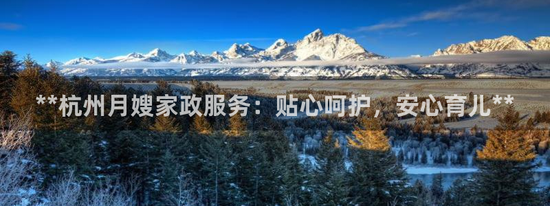 杏悦官方平台官网入口