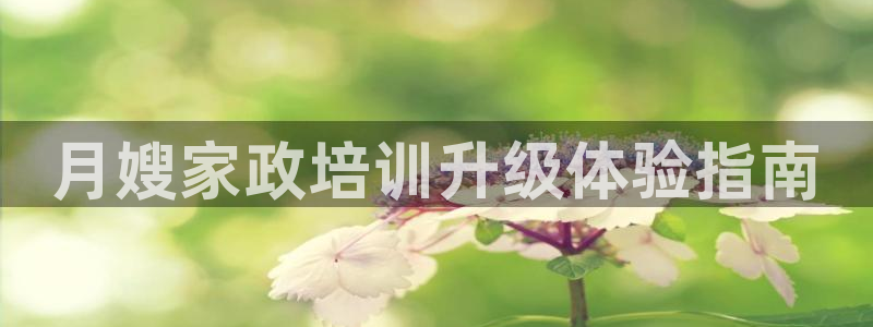 杏悦官网注册信息查询