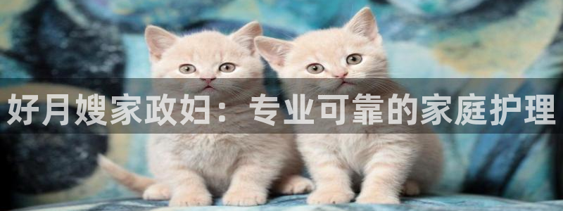 杏悦平台招商电话号码